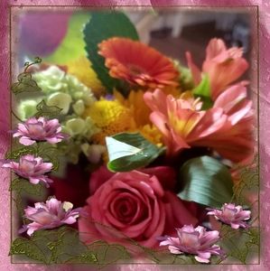 Meet your Posher, Krystal